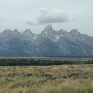 Meet your Posher, Wyatt